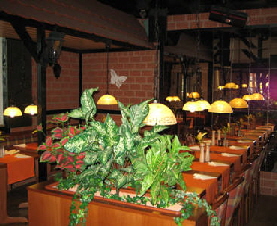 Restaurant Steak & Schnitzelhaus Butterfly Duderstadt